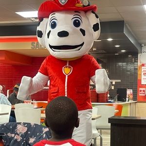 Paw Patrol Character Mascot Marshall Costume